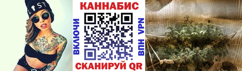 сколько стоит  OMG вход  Конопля SATIVA & INDICA  Нюрба 